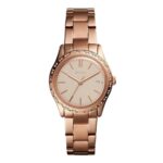 Fossil 34mm Nữ BQ3374 - Ảnh 1