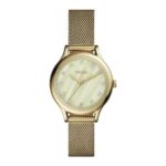 Fossil 34mm Nữ BQ3391 - Ảnh 1