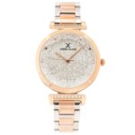 Daniel Klein 34mm Nữ DK.1.12536.4 - Ảnh 1