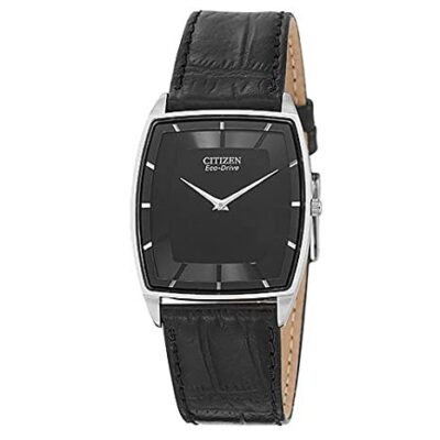 Ảnh sản phẩm Citizen 31mm Nam AR3020-02E