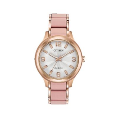 Ảnh sản phẩm Ferragamo 22mm Nữ SFHT00820