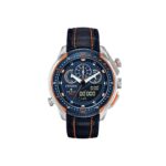Citizen 46mm Nam JW0139-05L - Ảnh 1
