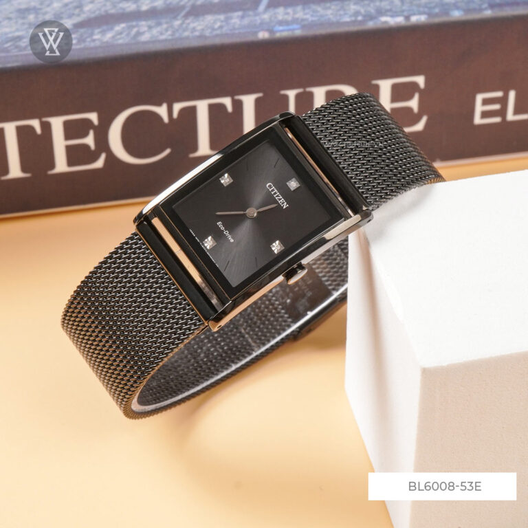 Bl6008 53e 2 1712585441