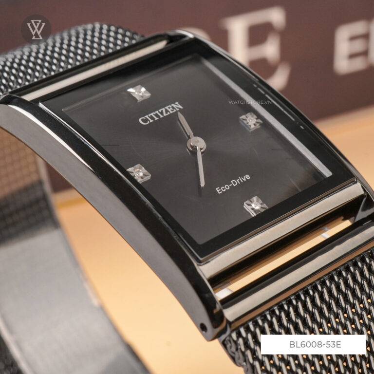 Bl6008 53e 5 1712585442