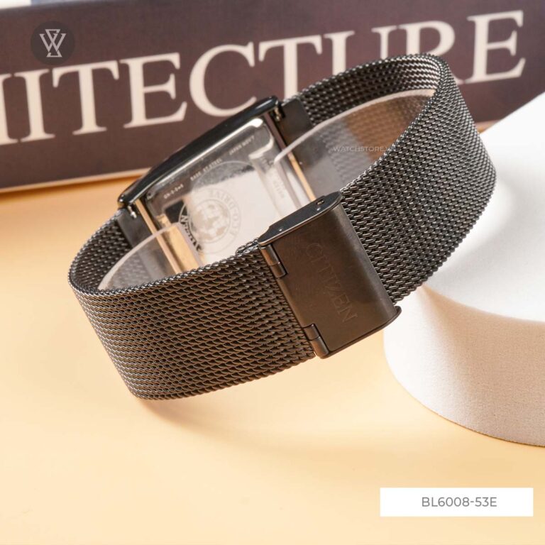 Bl6008 53e 6 1712585443