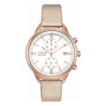 Citizen 38mm Nữ FB2003-05A - Ảnh 1