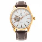 Olym Pianus 40mm Nam OP9927-71AMR-GL-T - Ảnh 1