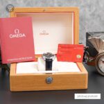 Omega 41.5mm Nam 231.13.42.21.03.001 - Ảnh 8