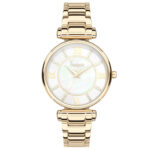 Freelook 34mm Nữ F.1.1024.01 - Ảnh 1