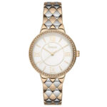 Freelook 30mm Nữ F.7.1027.05 - Ảnh 1