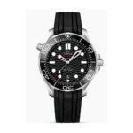 Omega 42mm Nam 210.32.42.20.01.001 - Ảnh 1