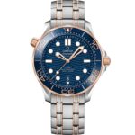 Omega 42mm Nam 210.20.42.20.03.002 - Ảnh 1