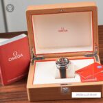 Omega 43.5mm Nam 215.32.44.21.01.001 - Ảnh 10