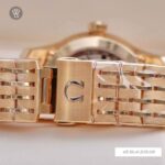 Omega 41mm Nam 431.50.41.21.13.001 - Ảnh 6