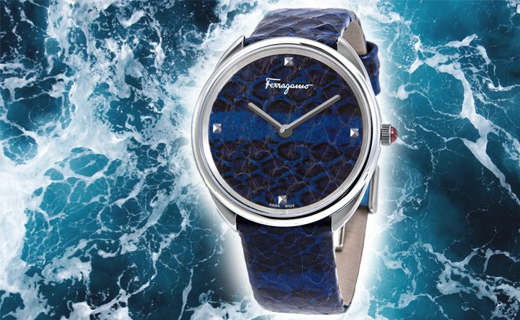 Đồng hồ Salvatore Ferragamo chính hãng - Ảnh 9 Đồng hồ Salvatore Ferragamo chính hãng - Ảnh 9