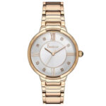 Freelook 34mm Nữ F.7.1051.04 - Ảnh 1