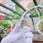 Longines 36mm Nữ L2.518.0.87.3 - Ảnh 3