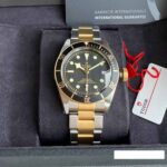 Tudor 41mm Nam 79733N-0002 - Ảnh 10