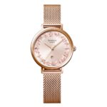 Casio 34mm Nữ SHE-4539FPM-4AUDF - Ảnh 1