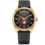 Citizen 43mm Nam BM6992-09W - Ảnh 1