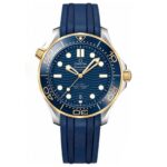 Omega 42mm Nam 210.22.42.20.03.001 - Ảnh 1