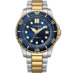 Citizen 43mm Nam NJ0174-82L - Ảnh 1