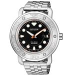 Citizen 46mm Nam AW1531-89E - Ảnh 1