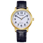Citizen 38mm Nam BJ6543-10A - Ảnh 1