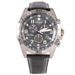 Citizen 43mm Nam BL5551-14H - Ảnh 1