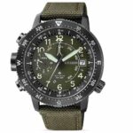 Citizen 46mm Nam BN4045-12X - Ảnh 1