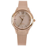 Citizen 32.5mm Nữ EM0813-86Y - Ảnh 1