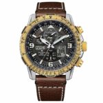 Citizen 46.9mm Nam JY8084-17H - Ảnh 1
