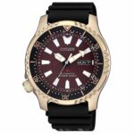 Citizen 42mm Nam NY0083-14X - Ảnh 1