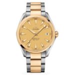 Omega 41.5mm Nam 231.20.42.21.08.001 - Ảnh 1