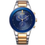 Citizen 43mm Nam AT2244-84L - Ảnh 1