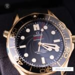 Omega 42mm Nam 210.62.42.20.01.001 - Ảnh 7