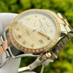 Frederique Constant 36mm Nữ FC-303LGD3BD2B - Ảnh 5