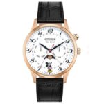Citizen 42mm Nam AP1053-15W - Ảnh 1