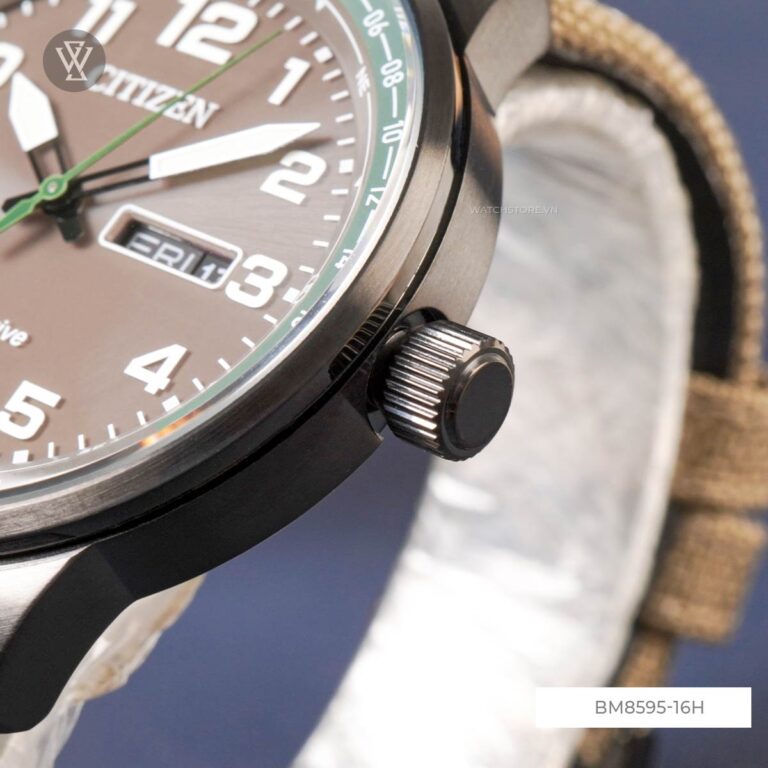 Bm8595 16h 5 1712661375