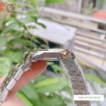 Grand Seiko 40mm Nam SBGJ255G - Ảnh 4