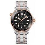 Omega 42mm Nam 210.20.42.20.01.001 - Ảnh 1