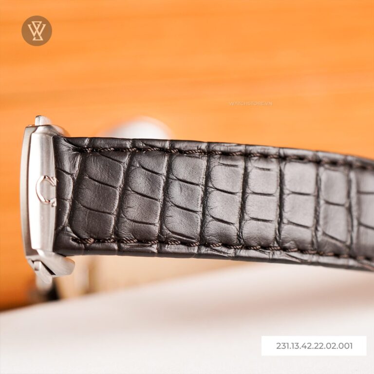 231 13 42 22 02 001 8 Omega 1715650774