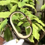 Olym Pianus 24mm Nữ OP130-07LK-GL-V - Ảnh 6