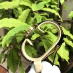 Olym Pianus 24mm Nữ OP130-07LK-GL-V - Ảnh 7