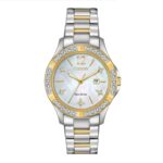 Citizen 32mm Nữ EW2514-59D - Ảnh 1