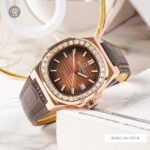 Carnival 41mm Nam 8108G-VH-DD-N - Ảnh 2