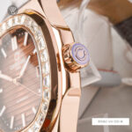 Carnival 41mm Nam 8108G-VH-DD-N - Ảnh 4