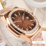 Carnival 41mm Nam 8108G-VH-N - Ảnh 6