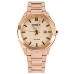 Citizen 41mm Nam BM7603-82P - Ảnh 1