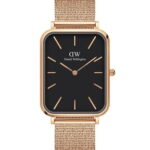 Daniel Wellington 29x36.5mm Nữ DW00100466 - Ảnh 1